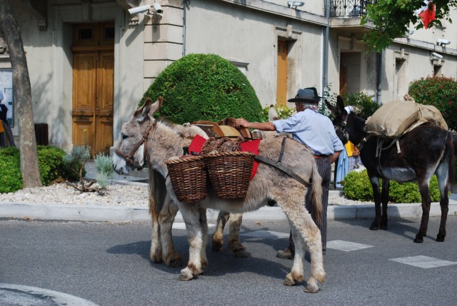 170 ans althen des Paluds 2015__06.jpg