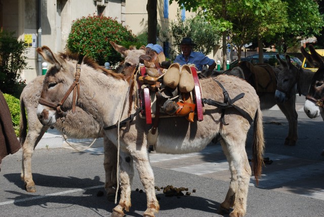 170 ans althen des Paluds 2015__08.jpg