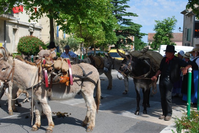 170 ans althen des Paluds 2015__09.jpg