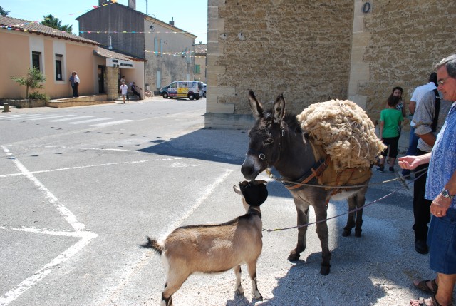 170 ans althen des Paluds 2015__90.jpg
