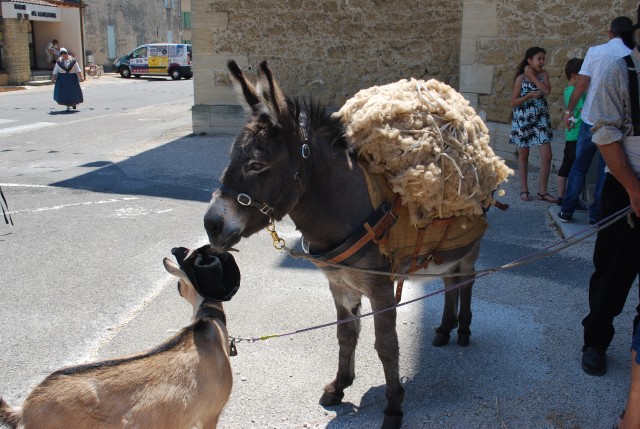 170 ans althen des Paluds 2015__91.jpg