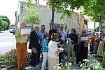170 ans althen des Paluds 2015__60.jpg 170 ans althen des Paluds 2015__60.jpg