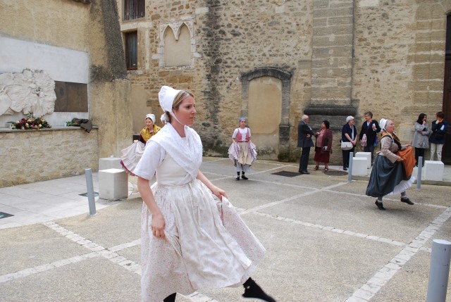 DSC_0478.jpg