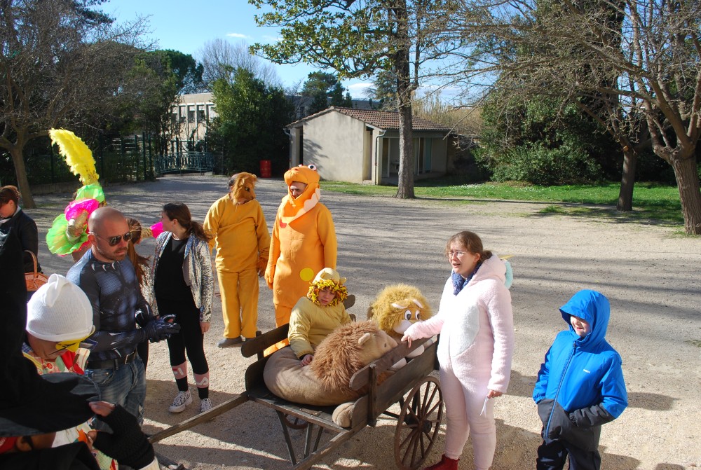 Carnaval_sorgues_2020_05.jpg