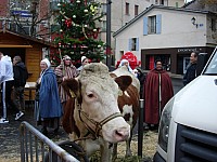 Digne 2015__03.jpg Digne 2015__03.jpg