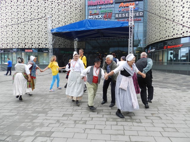 Europeade 2014__21.jpg