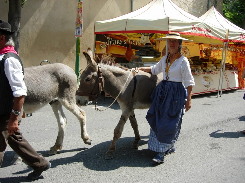 DSCN4515.jpg