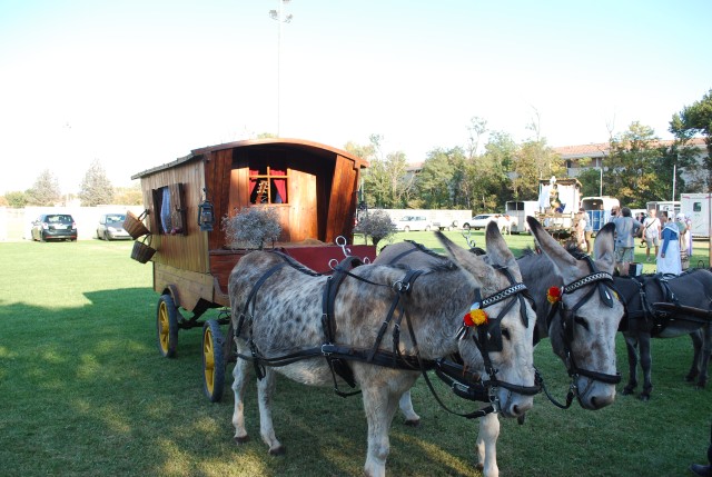 Fête_foins_Montfavet 2016_05.jpg