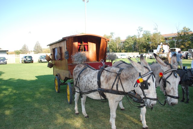 Fête_foins_Montfavet 2016_06.jpg