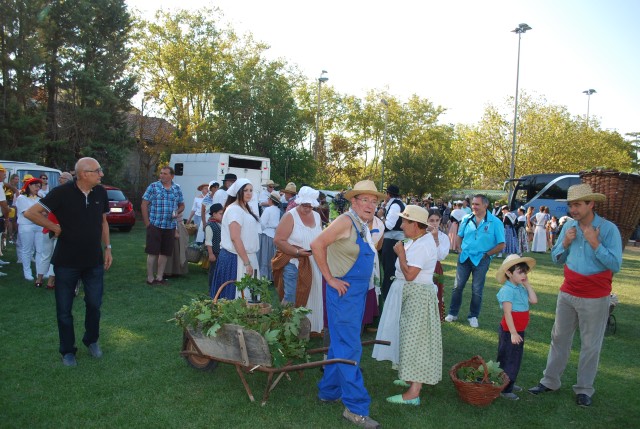 Fête_foins_Montfavet 2016_07.jpg