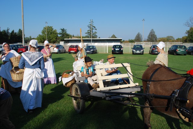 Fête_foins_Montfavet 2016_08.jpg