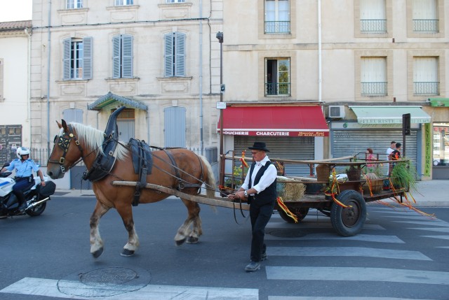 Fête_foins_Montfavet 2016_11.jpg