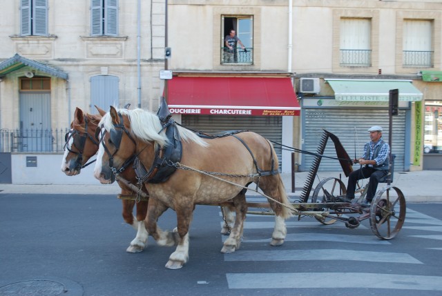Fête_foins_Montfavet 2016_12.jpg