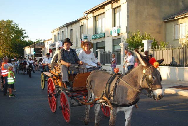 Fête_foins_Montfavet 2016_28.jpg