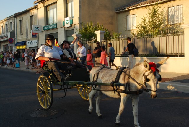 Fête_foins_Montfavet 2016_29.jpg