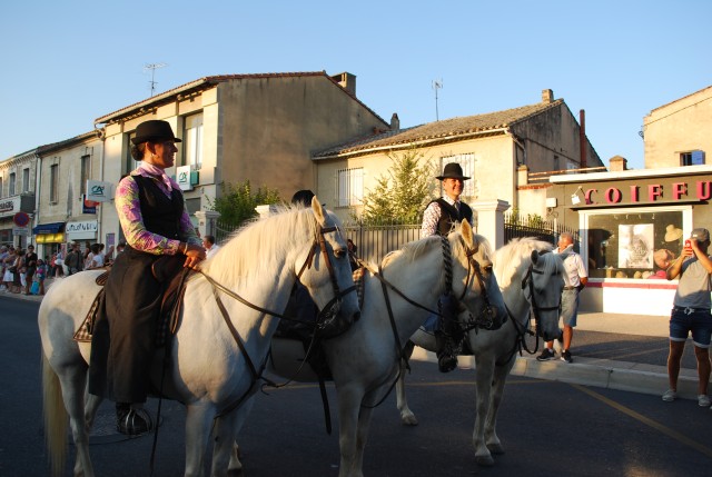 Fête_foins_Montfavet 2016_35.jpg