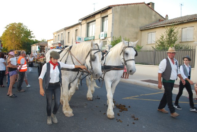Fête_foins_Montfavet 2016_71.jpg