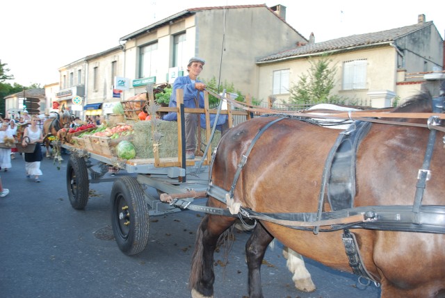 Fête_foins_Montfavet 2016_72.jpg