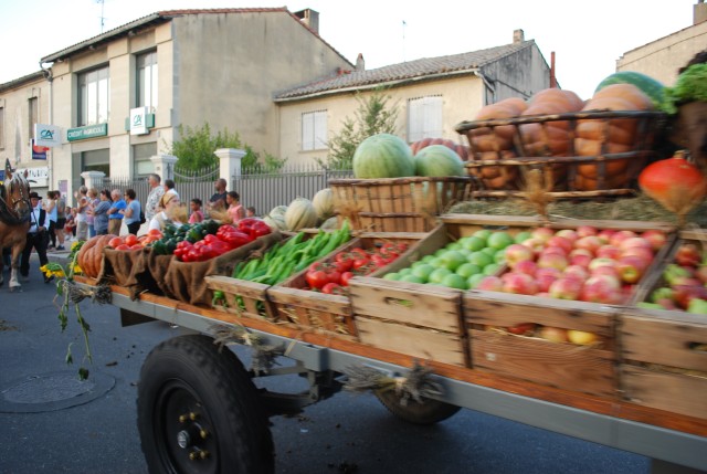 Fête_foins_Montfavet 2016_73.jpg