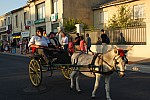 Fête_foins_Montfavet 2016_29.jpg Fête_foins_Montfavet 2016_29.jpg