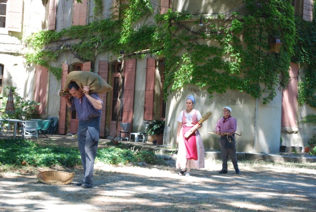 Fête Moisson Bedarrides 2016_40.jpg