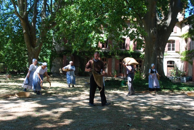 Fête Moisson Bedarrides 2016_41.jpg