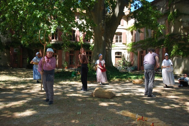 Fête Moisson Bedarrides 2016_47.jpg