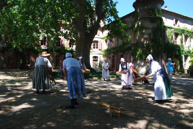 Fête Moisson Bedarrides 2016_50.jpg