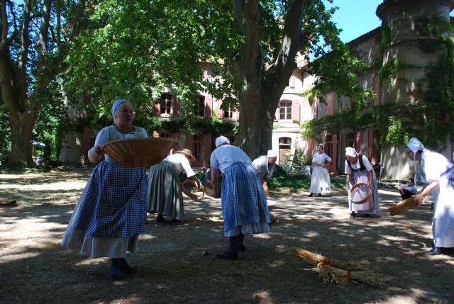 Fête Moisson Bedarrides 2016_51.jpg
