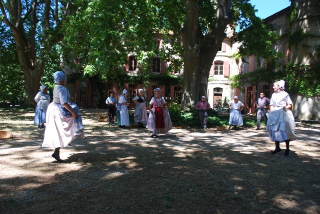 Fête Moisson Bedarrides 2016_59.jpg