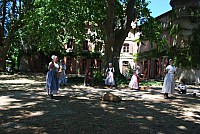 F&ecirc;te Moisson Bedarrides 2016_45.jpg