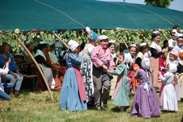 Fourques 2015 __95.jpg