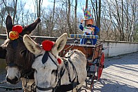 Carnaval_bedarrides_2016_.jpg Carnaval_bedarrides_2016_.jpg