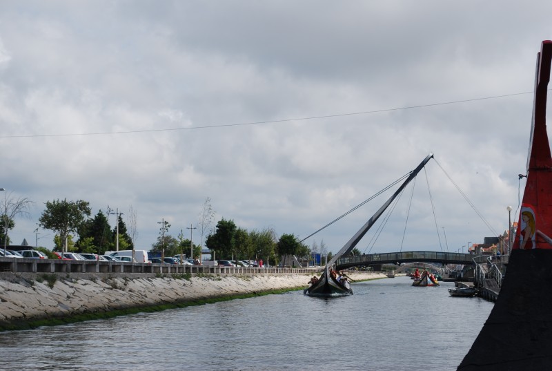 DSC_0231.jpg