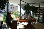DSC_0259.jpg