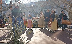 IMG_20230205_105428 - Copie.jpg IMG_20230205_105428 - Copie.jpg