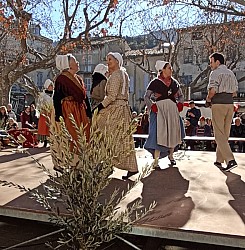 IMG_20230205_110315 - Copie.jpg IMG_20230205_110315 - Copie.jpg