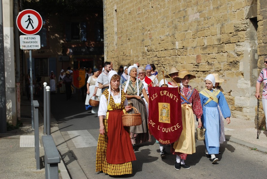 ban vendanges Sorgues 2023_17.jpg