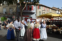 ban vendanges Sorgues 2023_27.jpg