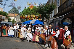 ban vendanges Sorgues 2023_30.jpg