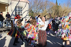 IMG_8344.jpg IMG_8344.jpg