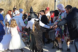 IMG_8384.jpg IMG_8384.jpg