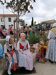 IMG_20230713_194150.jpg IMG_20230713_194150.jpg