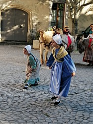 IMG_20230624_193641.jpg IMG_20230624_193641.jpg