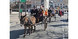 les-animaux-anes-et-chevaux-symboles-eux-aussi-de-la-provence-photo-le-dl-cyril-hiely-1710612947.jpg les-animaux-anes-et-chevaux-symboles-eux-aussi-de-la-provence-photo-le-dl-cyril-hiely-1710612947.jpg