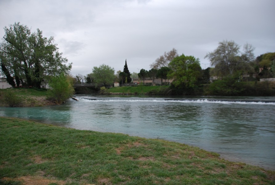 Negue_lume_2024 2024_11.jpg