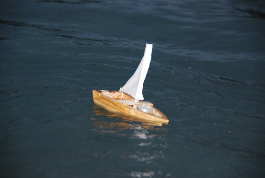 Negue_lume_2024 2024_29.jpg