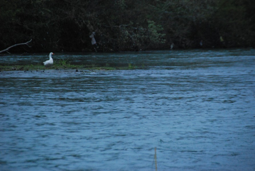 Negue_lume_2024 2024_33.jpg