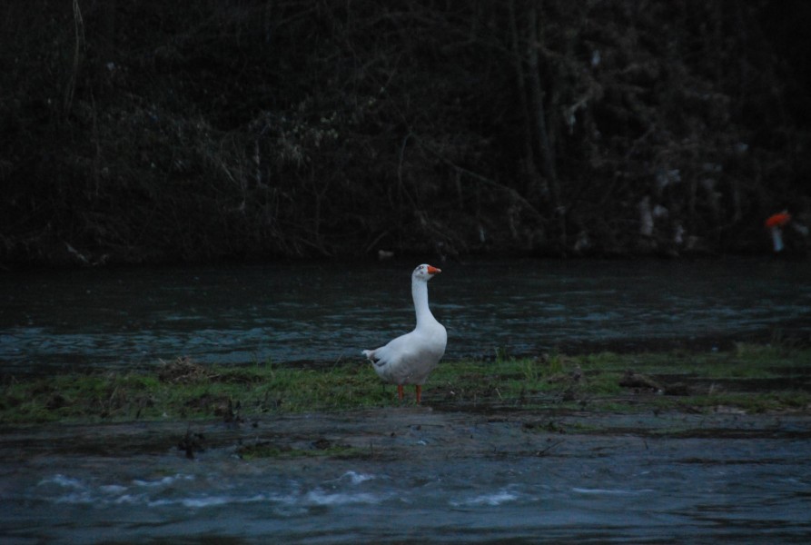 Negue_lume_2024 2024_37.jpg