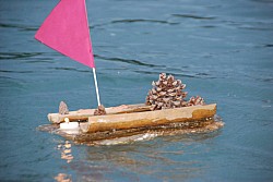 Negue_lume_2024 2024_25.jpg